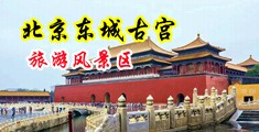 美女操鸡巴逼中国北京-东城古宫旅游风景区
